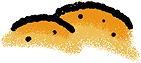 sand